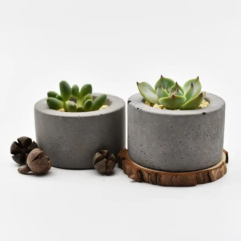Comfortable Life Mini Succulent Potted Concrete Flower Round Pot Silicone Mold for concrete making mold