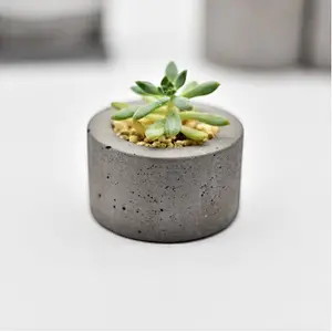 Comfortable Life Mini Succulent Potted Concrete Flower Round Pot Silicone Mold for concrete making mold