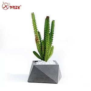 Cement plant potted home decoration flower pot cactus decoration silicone mold