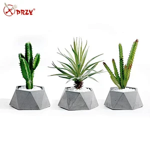 Cement plant potted home decoration flower pot cactus decoration silicone mold