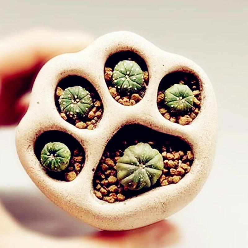 Cement cat paw flower pot decoration desktop potted silicone mold
