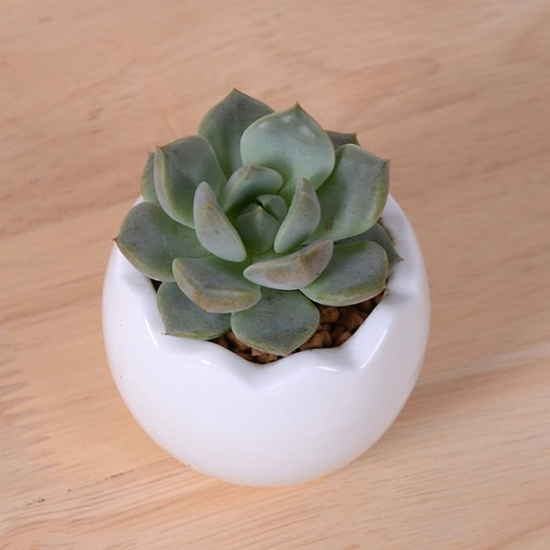 HP0034 cute mini eggshell shape pot concrete flower planter pot silicone mold