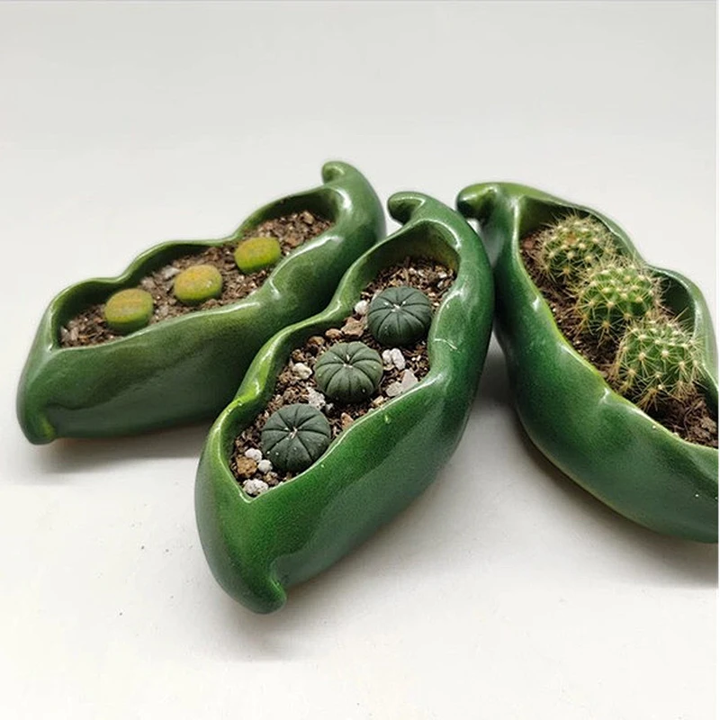 Pea shape mini flowerpot cactus plant potted silicone mold