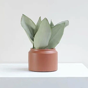 New style desktop pot plants silicone cement concrete molds