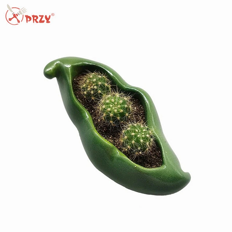 Pea shape mini flowerpot cactus plant potted silicone mold