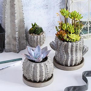 Creative Cactus Series Cement Pot Green Plant Succulents Flower Concrete Pot Silicone Mold