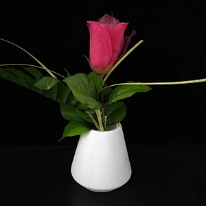 Concrete cement pot creative desktop decoration potted silicone mold