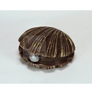 Pearl shell Soap molds handmade design soap silicone mold
