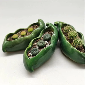 Pea shape mini flowerpot cactus plant potted silicone mold