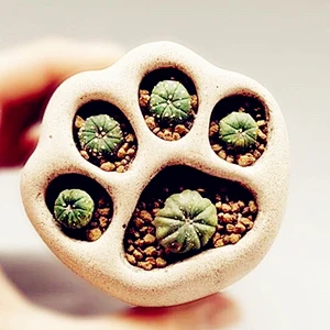 Cement cat paw flower pot decoration desktop potted silicone mold