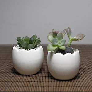 HP0034 cute mini eggshell shape pot concrete flower planter pot silicone mold