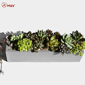 Rectangular cement flower pot household living room desktop plant potted silicone mold