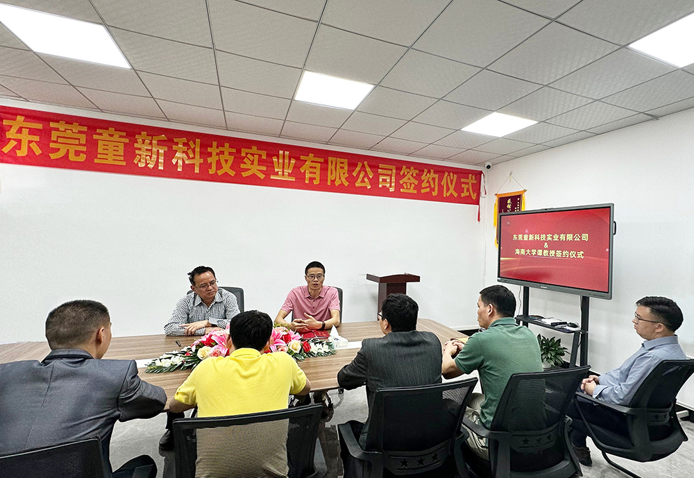 Enterprise technology consultant — Professor Tan of Hainan University