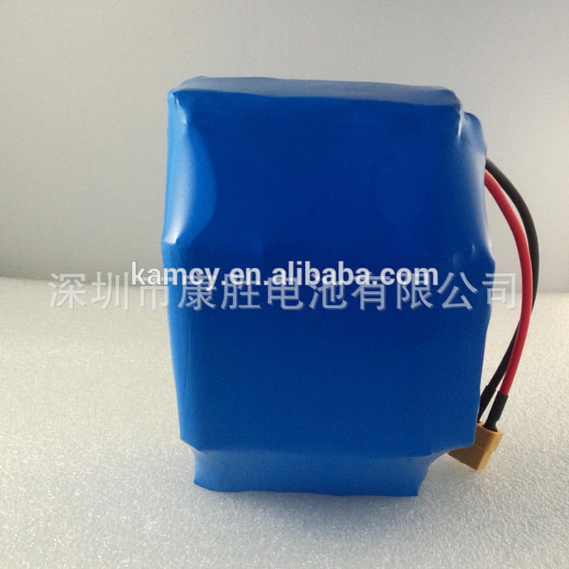 Customize 12v 24v 36v 48v  lithium ion battery rechargeable battery pack 100ah 150ah 200ah