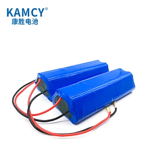 Nimh SC3000 22.8V rechargeable ni mh battery pack nickel metal hydride batteries