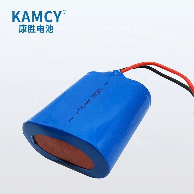 Lifepo4 akku 3.2V 12Ah rechargeable baterai pack ifr 32700 12000mAh lifepo4 with bms