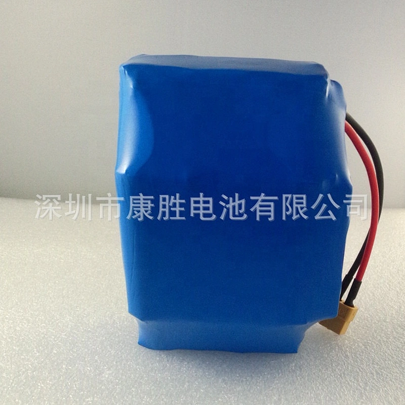 Factory oem 40ah 45ah lithium titanate battery lto rechargeable batteries for electric motorcycle