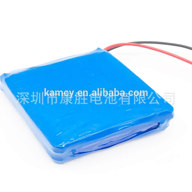 Customized 12v 18ah battery rechargeable lithium ion battery pack 12v 20ah for electric bicycle
