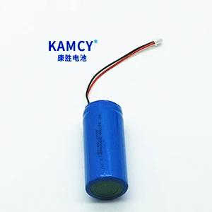 Rechargeable 32700 5000mah lithium battery  3.2V li-ion battery with bms for  robot