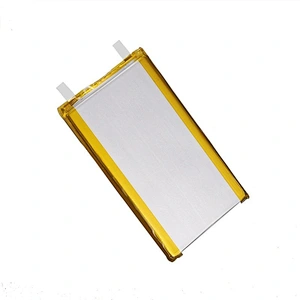 Power Bank Polymer Battery Long Cycle Life 5000mAh  6060100 Lipo Battery  3.7V