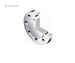 DONJOY sanitary Blind flange BL RF flange