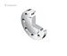 DONJOY stainless steel sanitary  blind  flange