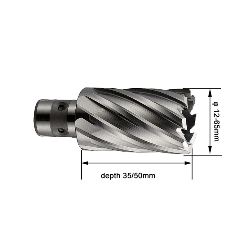 HSS annular cutter drill bit with fein shank
