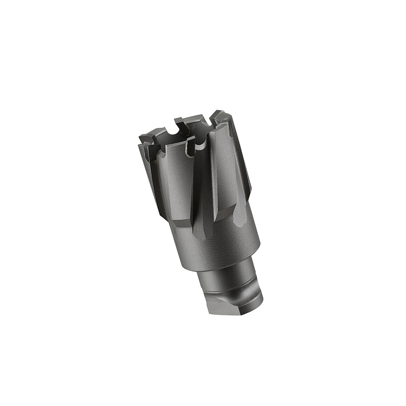 CHTOOLS Diameter 12mm-30mm Tungsten Tipped Annular Cutter