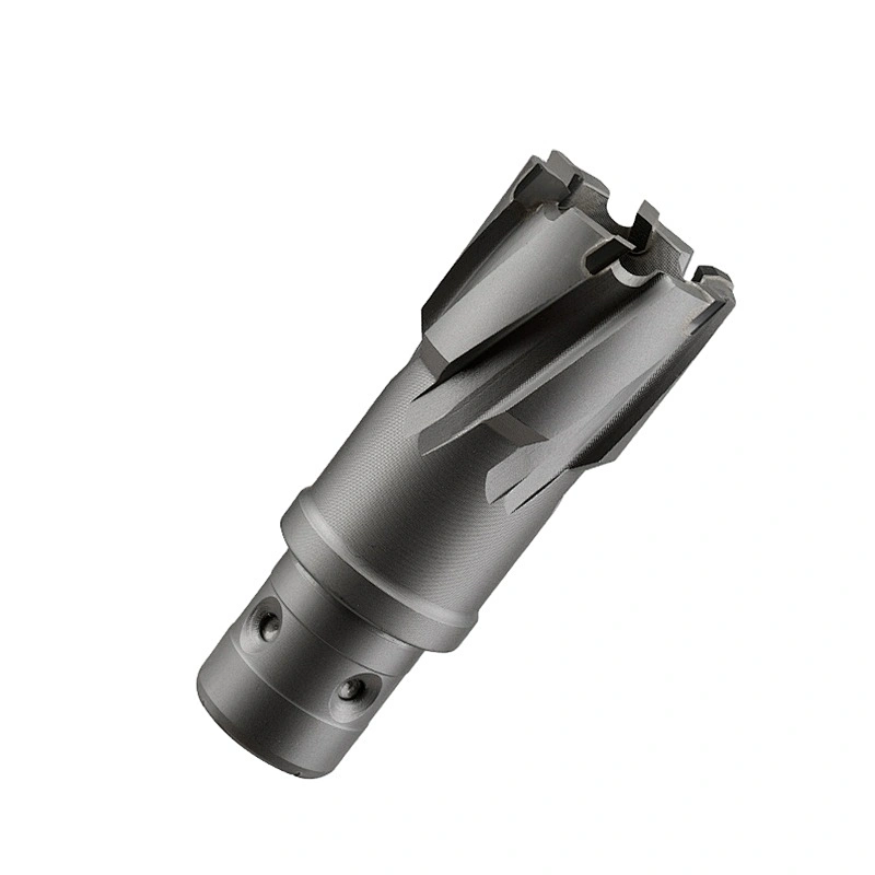 TCT annular drill cutter with Fein shank