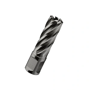CHTOOLS HSS cutter core drill bit with weldon shank