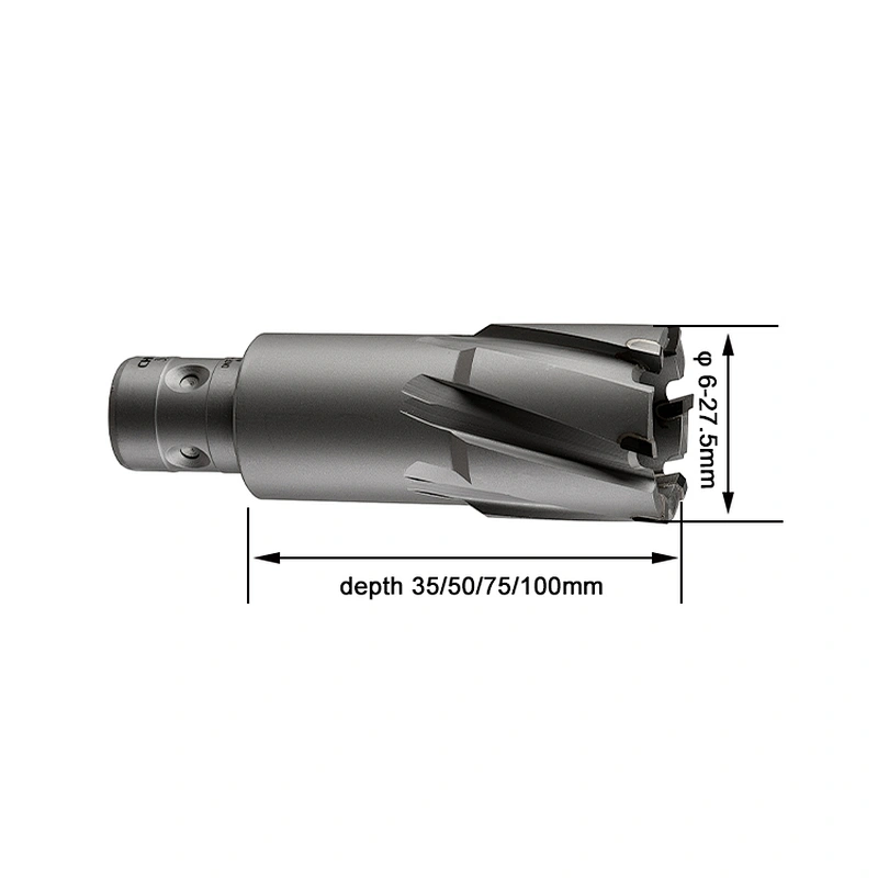 TCT annular drill cutter with Fein shank