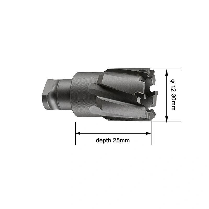 CHTOOLS High Precision Carbide Drill Bit Bits Broach Cutter