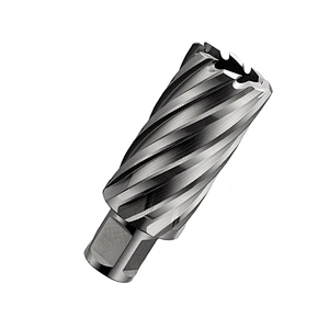 CHTOOLS Chinese factory weldon shank HSS annular drill