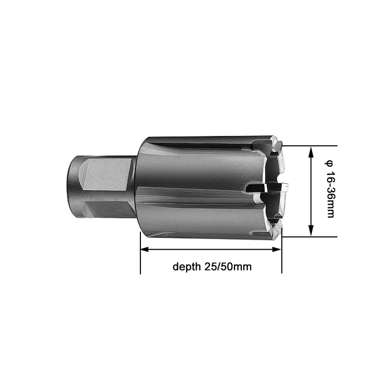 CHTOOLS 25mm cutting depth carbide rail cutter for railway