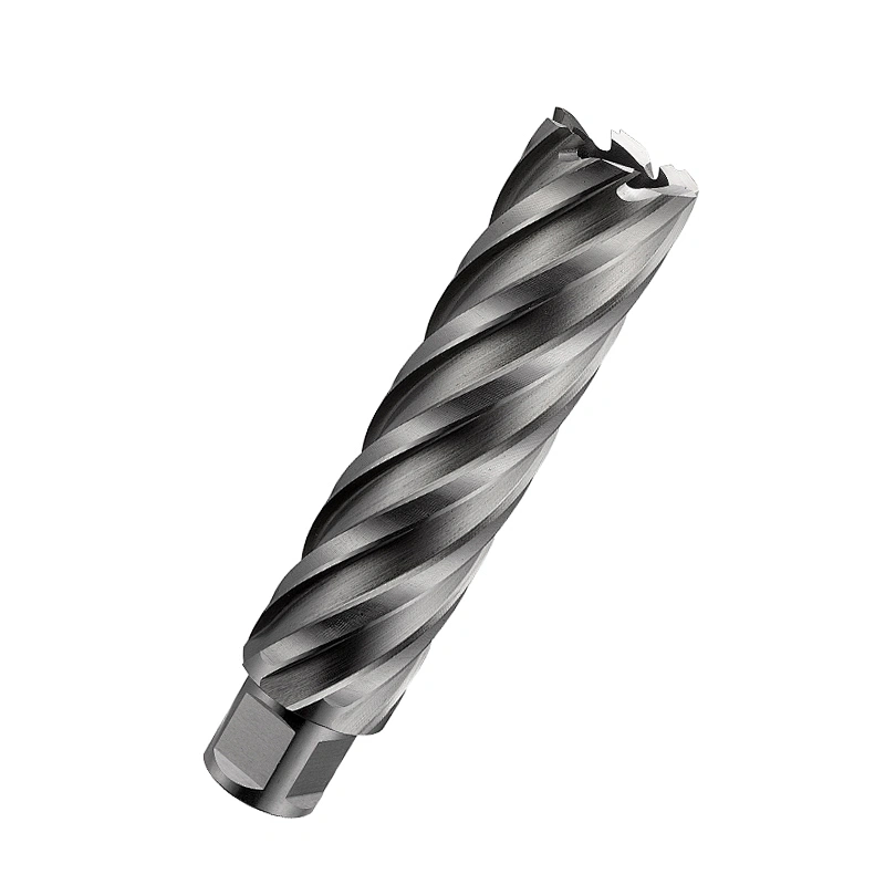 Manufacturer Various Sizes HSS Drill Bit with Weldon Shank