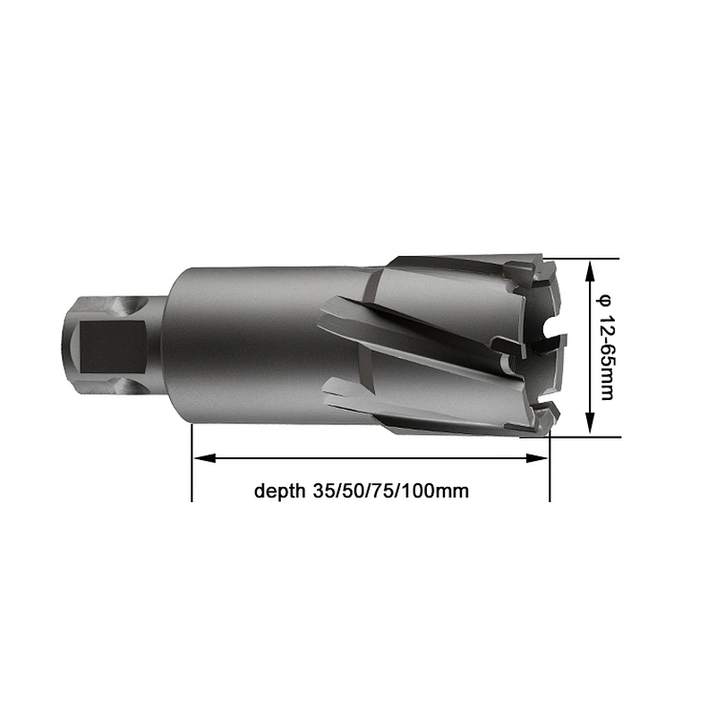 CHTOOLS DNTC-4 Universal shank type 50mm depth annular core drill bit