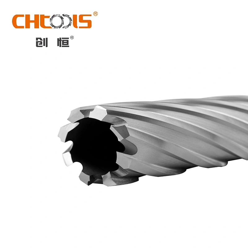 Manufacturer Various Sizes HSS Drill Bit with Weldon Shank