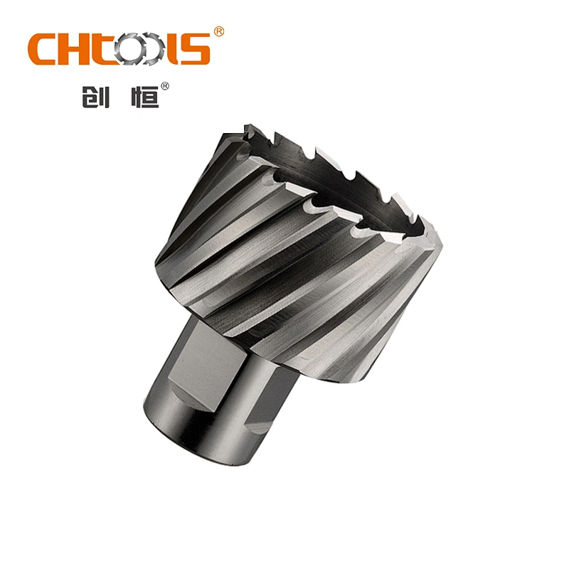 CHTOOLS Used on the drill machine weldon shank hss annular cutter