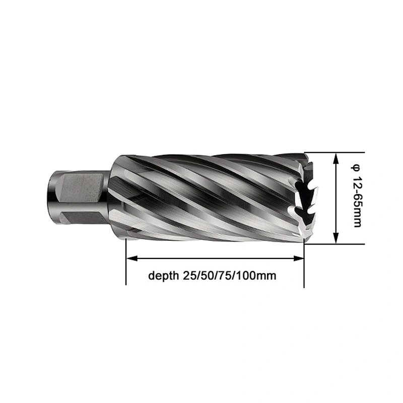 Welson shank 25mm cutting depth 12-65mm annular cutters