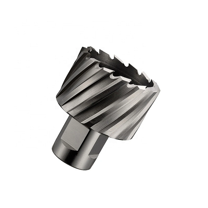CHTOOLS HSS 25mm depth core drill bit with weldon shank