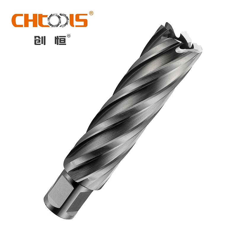 Manufacturer Various Sizes HSS Drill Bit with Weldon Shank