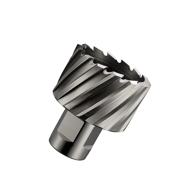 CHTOOLS High speed steel portable core drill