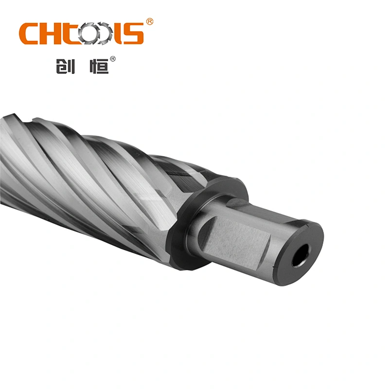 Manufacturer Various Sizes HSS Drill Bit with Weldon Shank