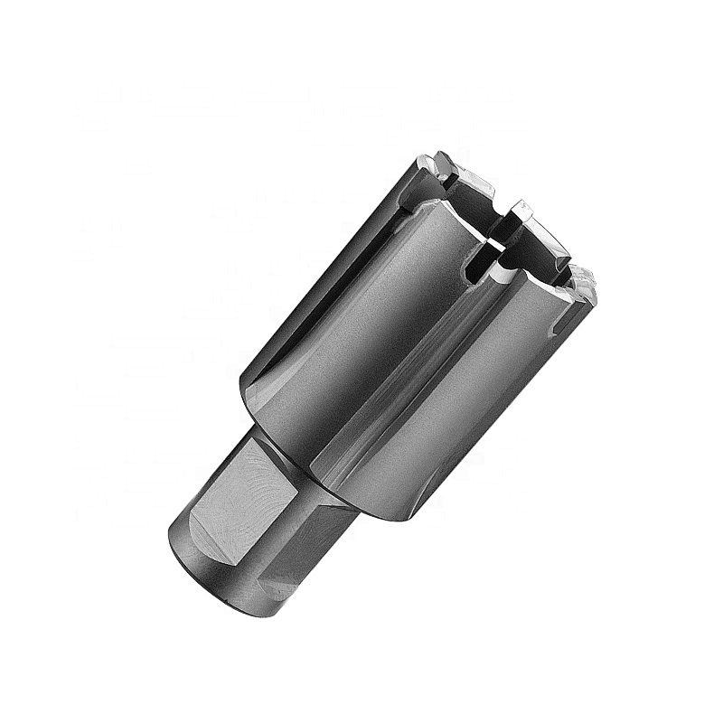 TCT din rail cutter with weldon shank from CHTOOLS