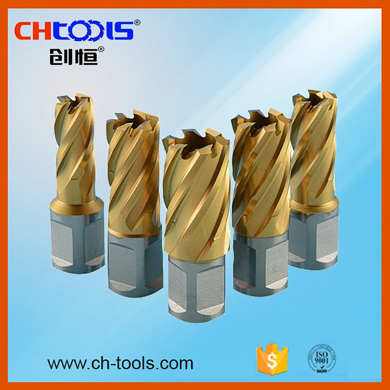 CHTOOLS DNHC-6 Universal Shank 100mm Depth HSS Hole Cutter