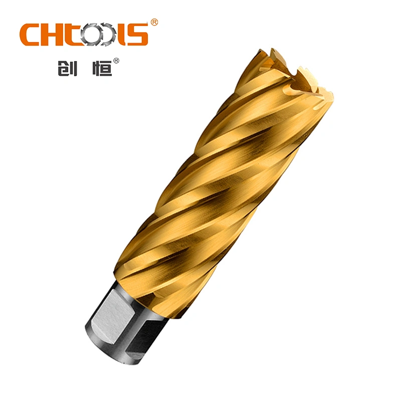 Manufacturer Various Sizes HSS Drill Bit with Weldon Shank