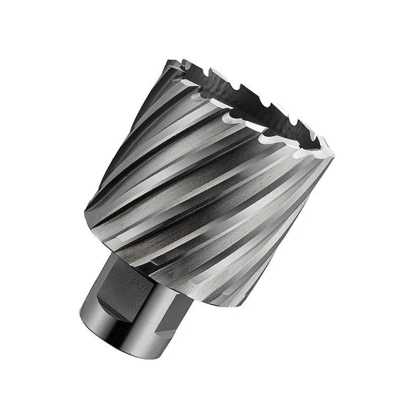 CHTOOLS HSS weldon shank core drill bit 25mm depth