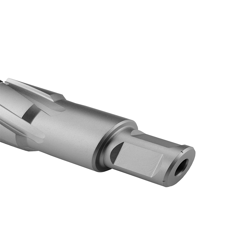 CHTOOLS carbide tipped broach cutter with weldon shank