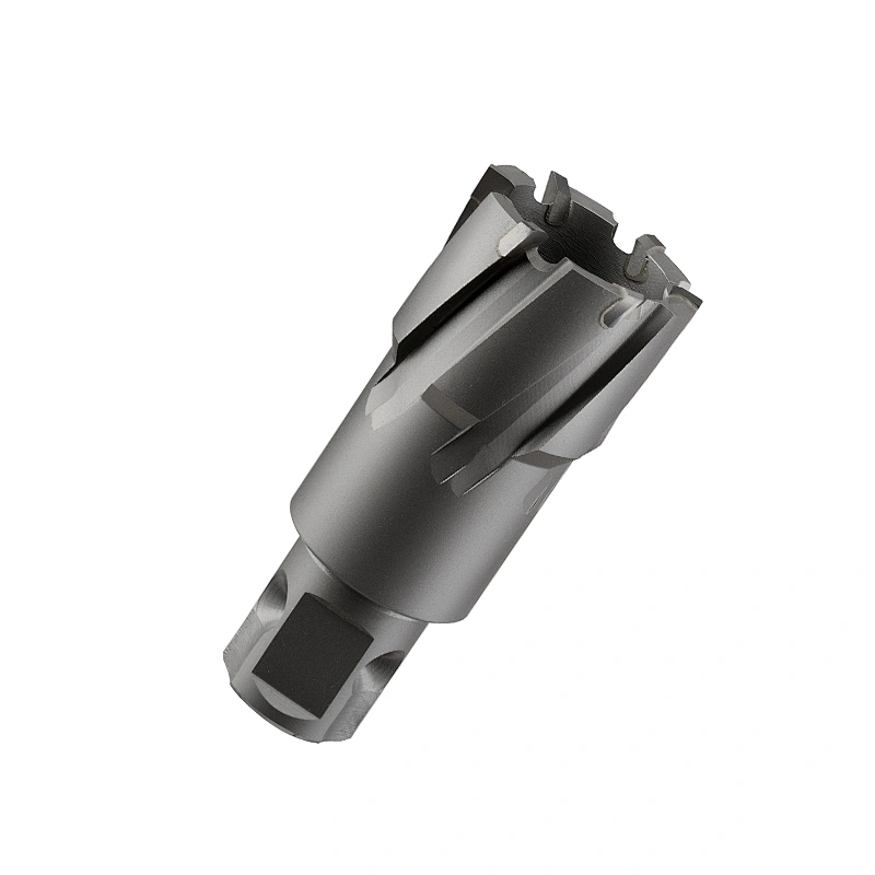 Universal shank tungsten carbide hole cutter