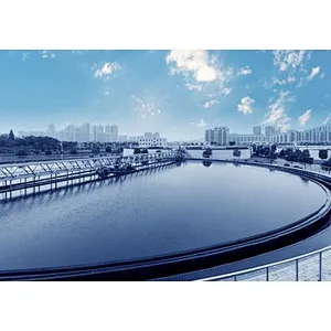 Peristaltic pump used in water treatment industry